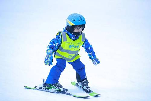 在南国滑雪训练营中，滑雪少年们将历经开营、训练、结营，在速度与激情的飞驰中，接受并完成全新的滑雪挑战。