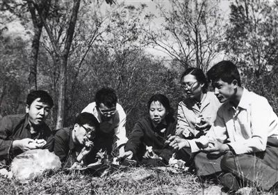▲北京大学77级经济系同学们当时进行野炊的照片。受访者供图
