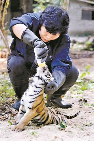 广州动物园父女两代饲养师回忆动物园百态趣事