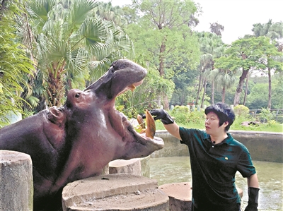 广州动物园父女两代饲养师回忆动物园百态趣事