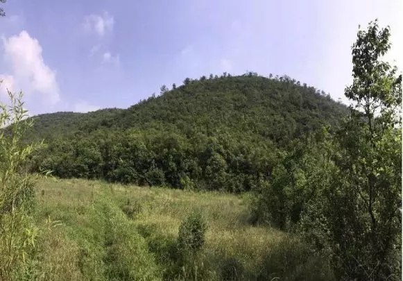 1556436600.jpg 20190322102242531.jpg