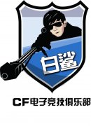 头队出场不同凡响 白鲨季后赛再创奇迹
