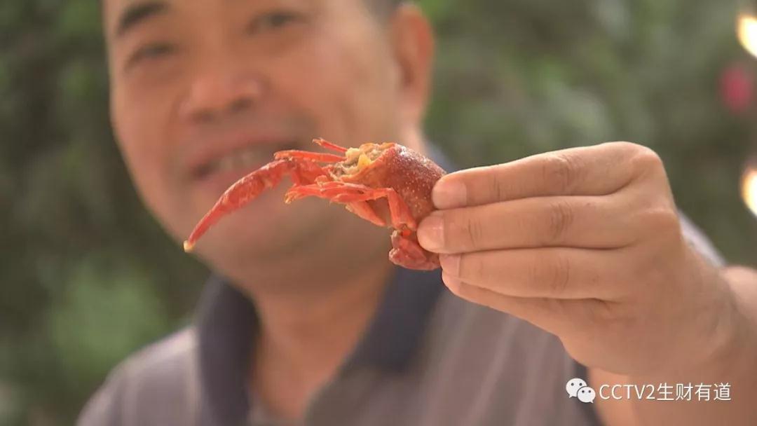 小龙虾遇榴莲，“巨无霸”大秋千冒险玩……时