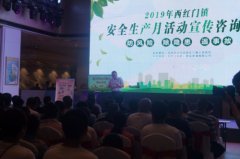 大兴消防联合西红门镇政府 开展家庭防火安全宣传活动
