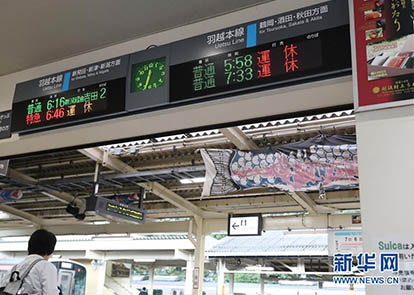 有质感的生活 从容平衡每一天