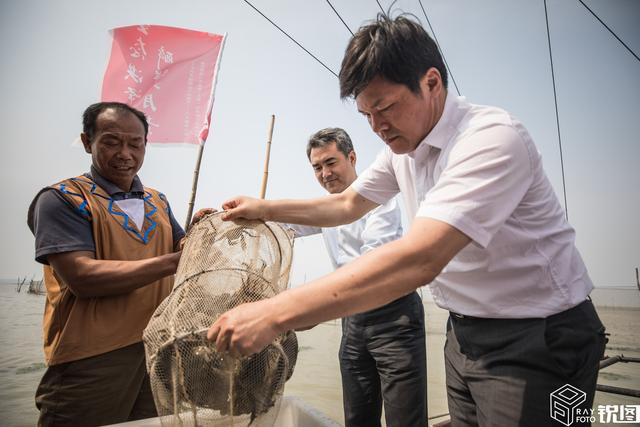 “忙归忙,勿忘六月黄”,六月黄大闸蟹上市,