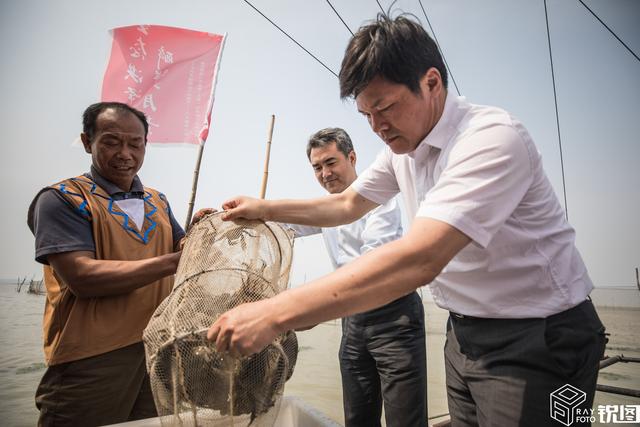 “忙归忙，勿忘六月黄”，六月黄大闸蟹上市，