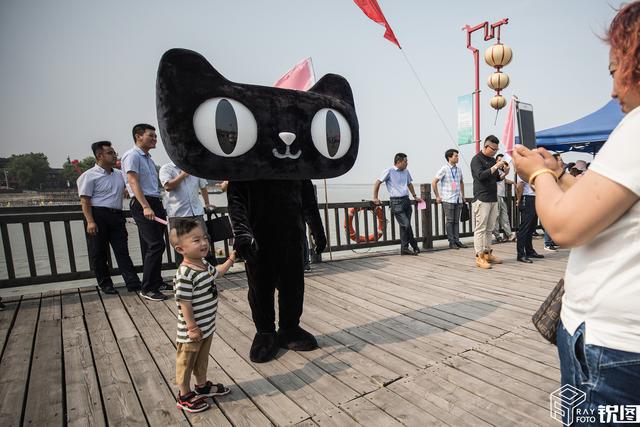 “忙归忙,勿忘六月黄”,六月黄大闸蟹上市,