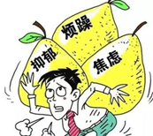 2019高考出分后首场大型高招会 百余所高校一站式