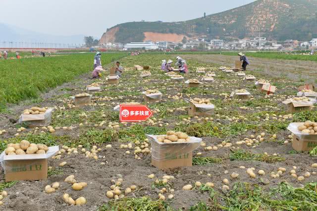 拼多多618七成订单来自下沉市场 拼购模式促行业