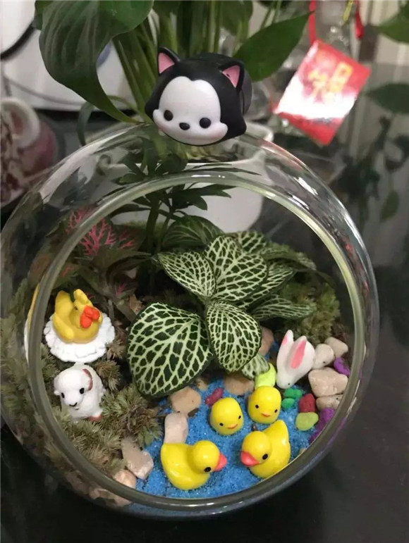 新乡今夏游玩圣地来啦！佳兆业悦峰海洋狂欢节