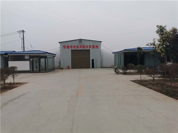 罗古洞乡村振兴引领产业兴旺 大许寨六村共建力促产业富民