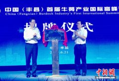 丰县举办首届牛蒡产业高峰论坛 牛蒡产业研究院揭牌
