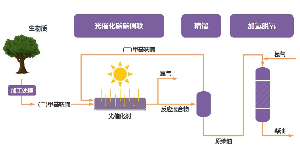 好棒！大连科学家出“奇迹”