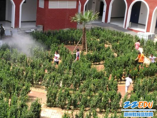 树篱迷宫