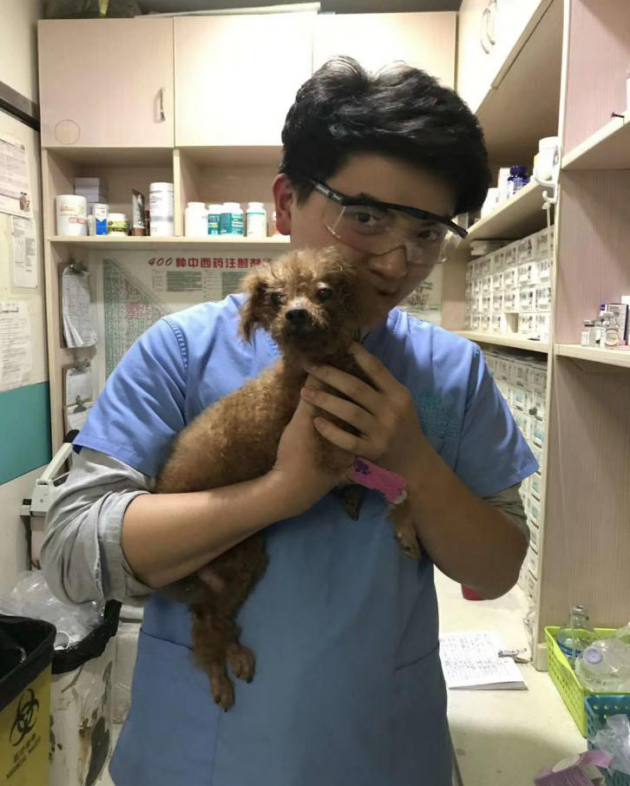 不断克服难题,瑞派兽医师用坚持抒写奇迹