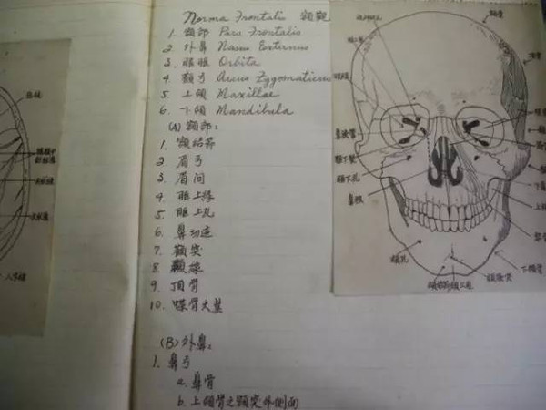 【奇闻趣事】你知道学渣、学霸、学酥上课都在