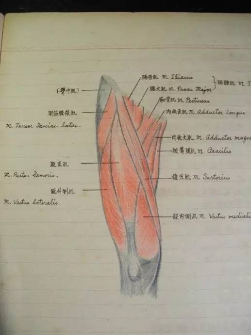 【奇闻趣事】你知道学渣、学霸、学酥上课都在