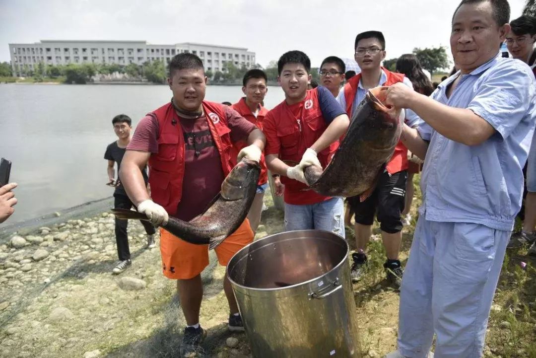 羡慕！一批高校“改名”，椰子大学、捕鱼大学