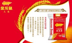 晶莹大米粒粒似银宝,金龙鱼大米优种孕育非凡美味