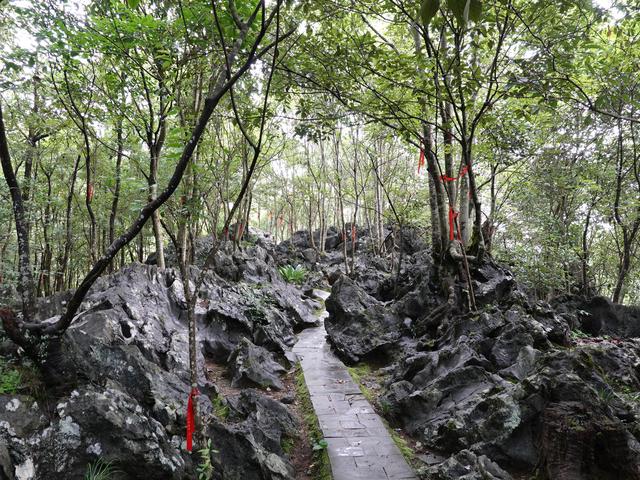 不在云南，不在广西，这里才是国内最值得看的石林，游客：奇迹