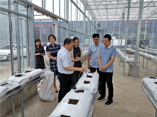 眉山市人社局调研组到丹棱县开展人才调研