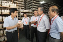 为人才搭建展示舞台