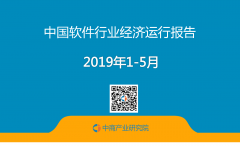 5月中国软件行业经济运行报告（附全文）