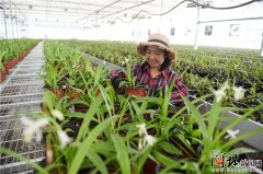 【推动高质量发展调研行】安国市提速中药产业现代化调查