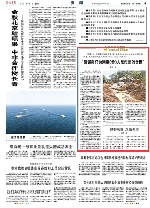 中國維和工兵分隊一次次上演施工奇跡