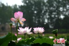北京市属公园“红色文化传播月”启动