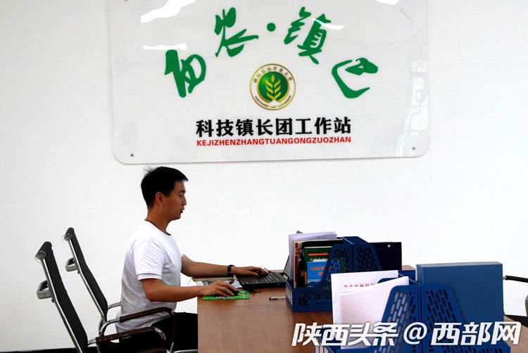 镇巴有个博士硕士科技镇长团 用农业科技助力脱