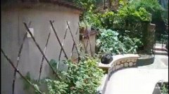 杭州一栋豪华别墅曝光 女主人说只有穷人才住这