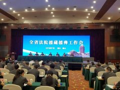 德阳中院在全省法院援藏援彝座谈会上作交流发言