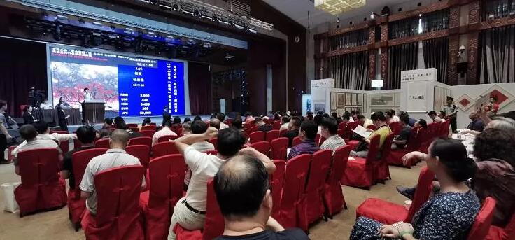 艺术行业从业者刘晨：我眼中的湖南收藏市场