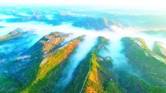 世界生态建设史上的奇迹