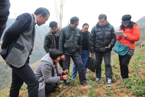 南通市科协率科技工作者赴汉中开展人才技术交