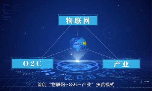 “公益+科技”，清萍荟贵峰云雾茶园成科技向善