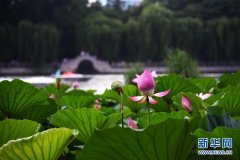 第四期戏曲艺术人才培养项目高级研修班开班