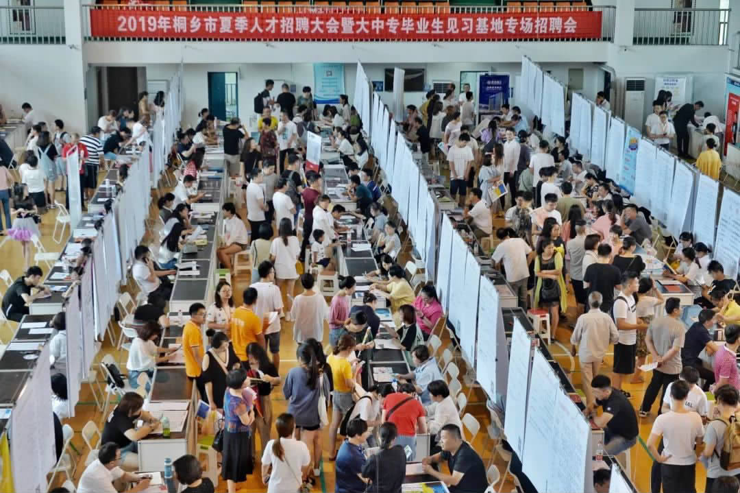 夏季人才交流会引桐乡学子“归巢”