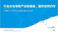 易观发布：中国第三方支付行业年度专题分析2