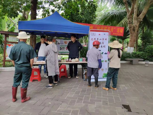 “龙华羊山美味”爱心扶贫农产品展销进社区进小区如火如荼进行