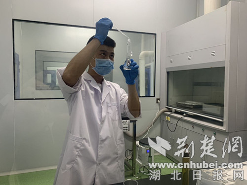 随县香菇香飘世界 裕国菇业打造行业一流品牌