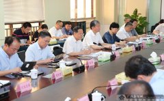陈武到柳州调研并主持召开广西汽车工业发展专