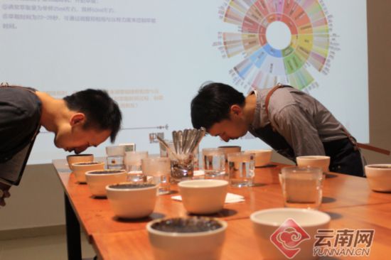 “咖啡创业青年”杨竹：凝聚电商力量创造保山小粒咖啡销售奇迹