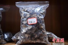 海南人才引进：既要“筑巢引凤” 更要“固巢留凤”