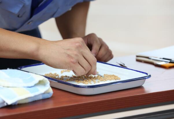 技能兴鲁 全省粮食行业职业技能竞赛在山东商务职业学院举办