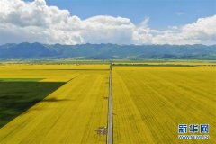 加快共享住宿行业标准化建设 提高公众满意度