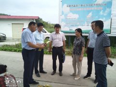 <b>国家农业农村部到岳西调研指导蔬菜产业发展工作</b>