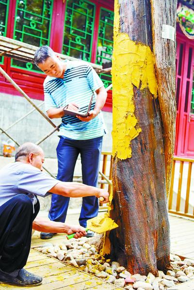 守護運河源“龍泉漱玉”盛景再現